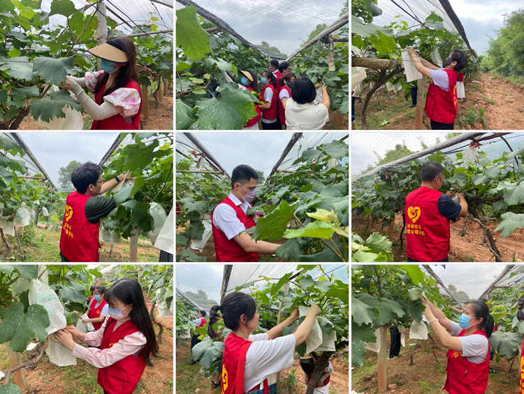 ΢ÐÅͼƬ_20230608112532_¸±±¾1.jpg ΢ÐÅͼƬ_20230608112532_¸±±¾1.jpg