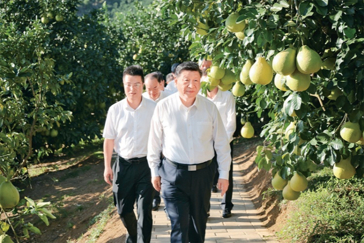 3_¸±±¾.jpg 3_¸±±¾.jpg